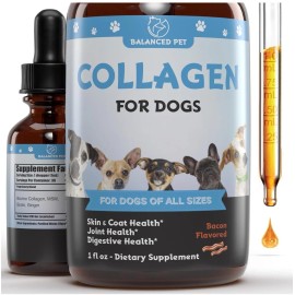 Balanced Pet Collagen For Dogs Of All Sizes Bacon Flavor 1 Oz Exp 07/26