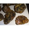 Sublime Gifts - Amber - Genuine Petrified fossilized Tree sap
