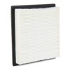 Blue Print ADA102246 Air Filter, Pack of 1