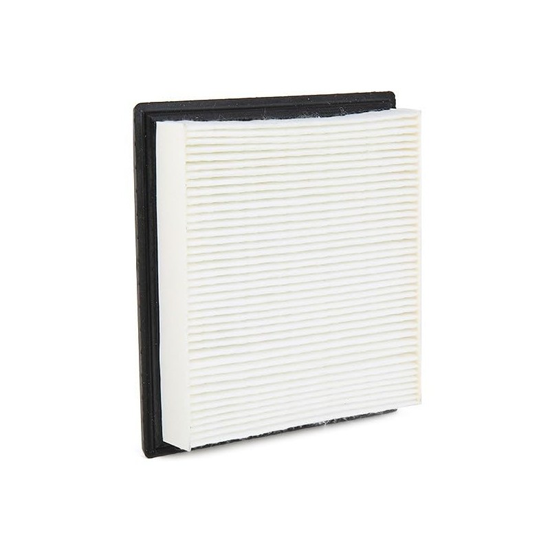 Blue Print ADA102246 Air Filter, Pack of 1