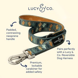 Lucy & Co. 5 Foot Dog Leash - Best Designer Dog Leashes - Leash for Big Dogs, Small Dog Leash, or Medium Dog Leash - Puppy Leash - Dog Accessories - Dog Supplies (Looking Sharp, Large)…