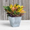 ArtStone 35120 Ella Square Planter, 12-Inch, Grey