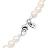 Kuzzoi Men's Silver Necklace with Shell Pearls (6-12 mm) Round