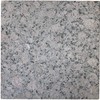 Tenedos Baltic Brownish Granite 12x12 Polished Tile – Natural Stone