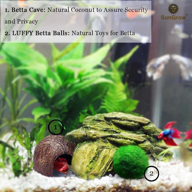 SunGrow Betta Fish Cave, Habitat Made from Coconut Shell, Soft-Textured