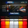 SWATOW INDUSTRIES 37 Inch Chase Lights Rear LED Chase Light