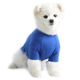 Lucky Petter Dog Shirt for Small Dogs Plain T-Shirts Soft Breathable Dog Cotton Shirt pet Clothes (Medium, Blue)