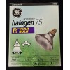 GE 14748 Halogen 75Watt 75w Par 38 1050 Lumens Outdoor