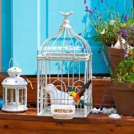 - 2 comederos de plástico para Loros, Transparentes para Colgar, para cacatúas, Budgie Conure, Macawo, Periquito pequeño
