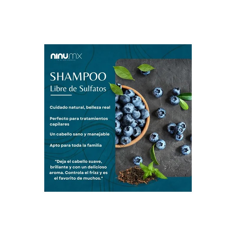 Shampoo Libre De Sulfatos Sal Y Parabenos Ninu 500 Ml