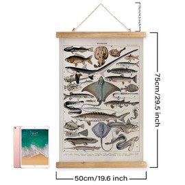XIAOAIKA Vintage Fish Species Poster - Educational Oceanic Life Chart with Wooden Scroll Frame - Classic Nautical Wall Hanging Decor for Home, Office, or Classroom 20 x 30 Inches
