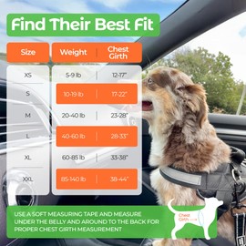 Joyride Basic Essential Dog Harness 1.0 - Small, Medium, Large Dogs, No-Pull Pet Vest with 3 Side Rings for Leash Placement, Adjustable for Training (Best Friend Society, M)