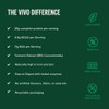 Vivo life Perform Plant Protein Powder | 25g Protein with