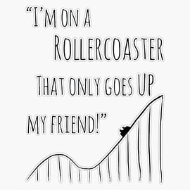 The Fault in Our Stars Rollercoaster Bumper Sticker Vinyl Decal 5 inches