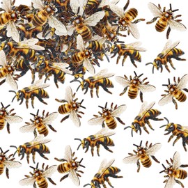 Cyodoos 40 PCS Edible Bumble bee Cupcake Toppers Wafer Paper Bumble Bee Party Drink Topper Decorations for Kids Girls Birthday Baby Shower Honey Bee Themed Party Supplies