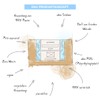 puremetics Zero Waste Shower Gel Powder "Cotton" (100 g =