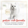 Purina Fancy Feast Gravy Lovers Beef Feast Pate in Wet