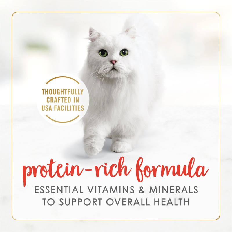 Purina Fancy Feast Gravy Lovers Beef Feast Pate in Wet