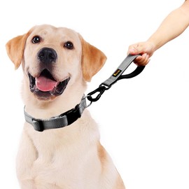 PLUTUS PET Short Dog Lead, Reflective Nylon Padded Handle, Strong Traffic Lead with Carabiner Clip, Perfect for Large or Medium Dogs (25cm，Gray)