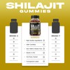 Shilajit Gummies 1000mg (Pure Himalayan Shilajit Gummies for Men &
