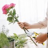 Secateurs-Professional-Scissors Garden Shears - Secateurs & Pruning Scissors of Garden
