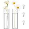 2 Pack Wall Hanging Glass Planters 1.85x5.9 Inch High Borosilicate