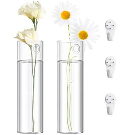 2 Pack Wall Hanging Glass Planters 1.85x5.9 Inch High Borosilicate Glass Wall Vases for Indoor Plants with Mounting Hooks