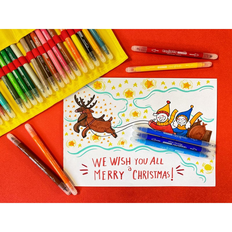 Carioca Cardboard Pack of 24 Pens (A53512024)