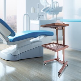 2-Tier Metal Rolling Cart Multifunctional Utility Cart on Wheels Hairdressing Trolley Storage Equipment Organizer Trolley Tray for Dental Tools for Bedroom Tattoo Shop (Rose-Gold)