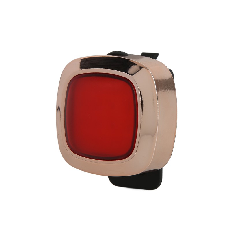 Intelligent Bike Tail Light Waterproof Rechargeable Intelligent Bicycle Brake Induction