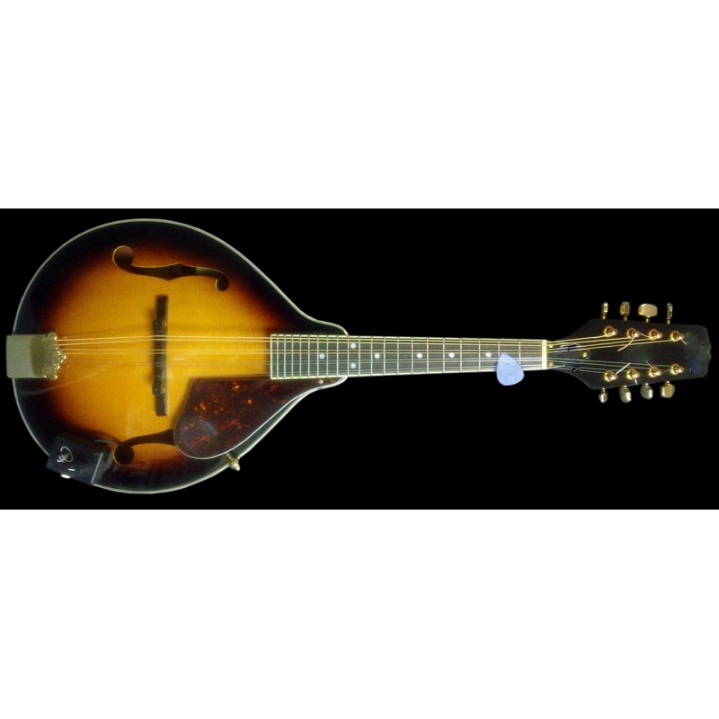 Mandolin Pickup with Flexible Micro-Gooseneck by Myers Pickups