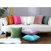 RKAAS HOME Pack of 2 Super Soft Decorative Luxurious Dutch