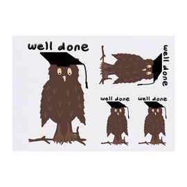 Azeeda 4 x 'Abschlusstag Eule' Temporäre Tattoos - Wasserfest, Hautfreundlich & Ungiftig · Transfers in Verschiedenen Größen (TO00073258)