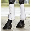 Busse Pro Dressage Tendon Boot Medium white