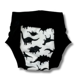 Reusable Waterproof Nighttime Potty Training Pants (4-5, Rawr)