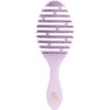 Hair Gloss Beauty Anushi Wet & Dry Quick Brush _