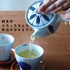 Yusen Roman Light Small Teapot with Tea Strainer, Made in