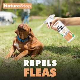 NatureStop Flea Spray for Dogs, Gentle & Effective Flea Treatment for Pets, 16 oz (475mL)