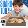 Eggbox Shark Tooth Digging Kit for 6-12 Years Old Kids