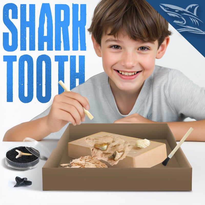 Eggbox Shark Tooth Digging Kit for 6-12 Years Old Kids