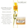 Generico Gel Muscular de Árnica y Ocote, 350 grs