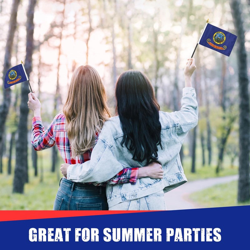 Idaho flag 4 x 6 inch