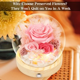 Flowers, Roses, Gifts–Flowers Bouquet & Forever Flowers for Delivery Prime - Preserved Flowers Birthday Gift for Women, Valentine's, Mother's Day, Christmas–Lasting Fresh Roses, Battery Included