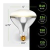 250R40/1 250-Watt, Incandescent R40 Reflector, Clear Head Lamp, Heat Flood