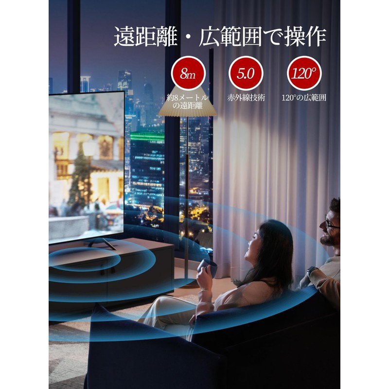 AVTVA TV Remote Control for DOSHISHA RT-008 RT-001 RT-002 RT-003