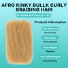 Humistwbiu Afro Kinkys Bulk Human Hair for Dreadlocks Extensions 30g/Pack