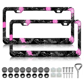 Bat License Plate Frame - 2 PCS Goth Spider Web Bats License Plate Holder, Rust-Proof Stainless Steel Auto Parts License Plate Cover Decoration for Standard Us 12x6 Inch