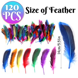 SUNRIZ Feathers for Crafts, Pack of 150 Colourful Feathers, Natural Feathers, Decorative Craft Feathers for DIY Earrings, Wedding, Dream Catcher, Headdress Feathers, School Crafts