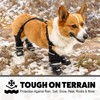 Hokkaido Paws Suspender Boots – Classic Series, Durable Waterproof Dog