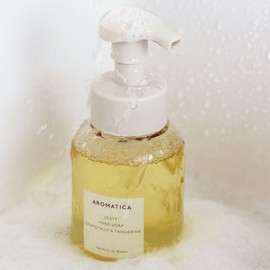 Aromatica Zesty Hand Soap Grapefruit Tangerine 300ml / 아로마티카 제스티 핸드솝 그레이프프룻 탠저린 300ml